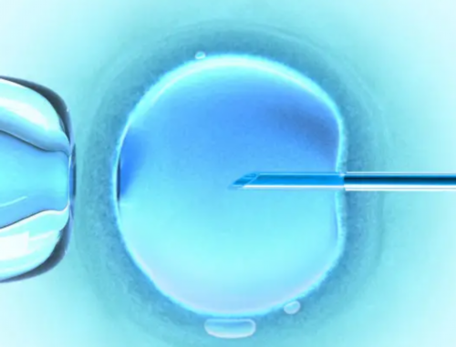 权威助孕机构名单揭晓，专业服务助力家庭圆梦