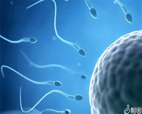 选择试管婴儿医院的关键因素与推荐