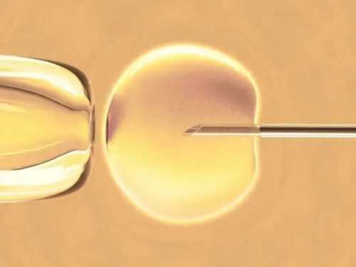 潍坊三代试管哪家医院好