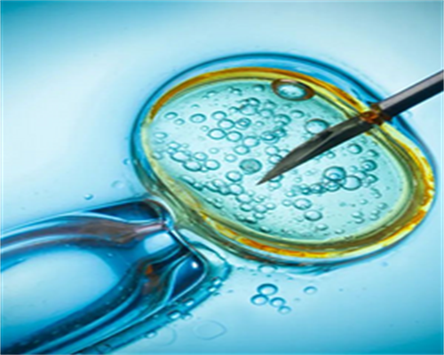 商洛三代试管北京哪家医院好？专业助孕服务选择指南