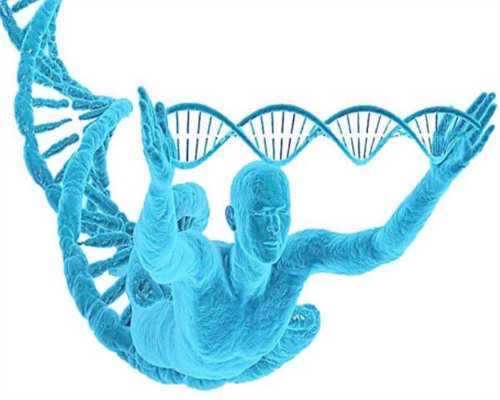国际认证试管助孕生子指南与常见问题解析