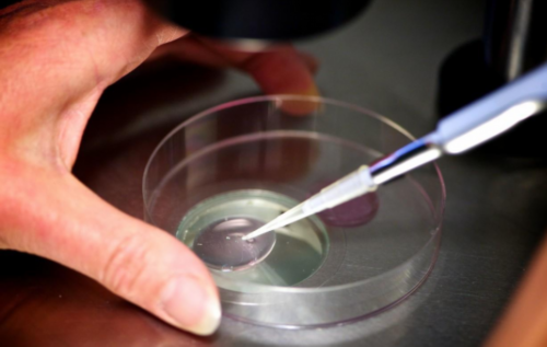 北京三代试管医院哪家最权威？协和医院优势解析