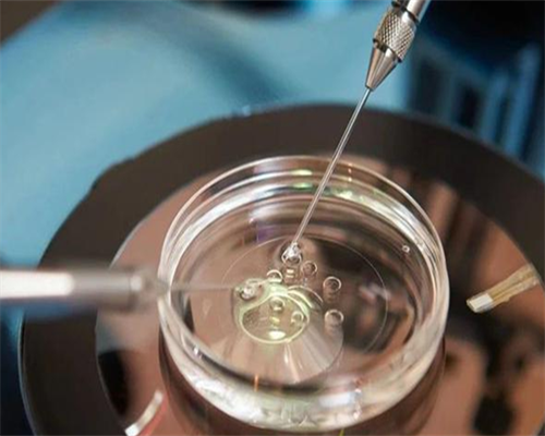 国内优质三代试管医院推荐与选择指南