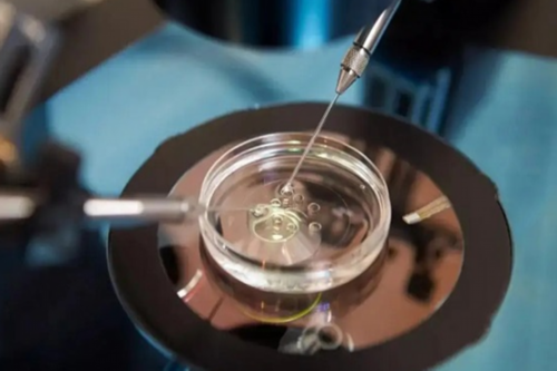 北京三院试管婴儿促排卵与胚胎移植全流程解析