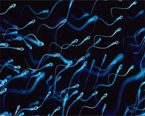 协和医院试管三代技术解析与助孕选择