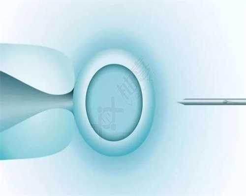 人工授精详细步骤与流程解析