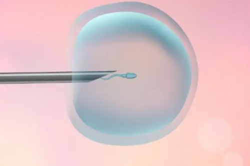 协和医院试管婴儿挂号指南与科室选择