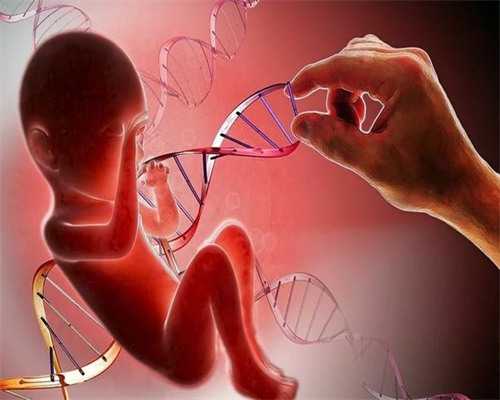 试管三代双胎风险与成功率分析