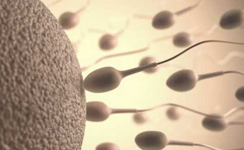 2026试管助孕机构实力排名揭晓